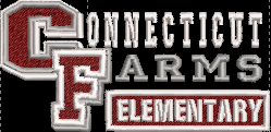 Connecticut Farms Elementary School WINTER 9" Beanie w/ Pom pom