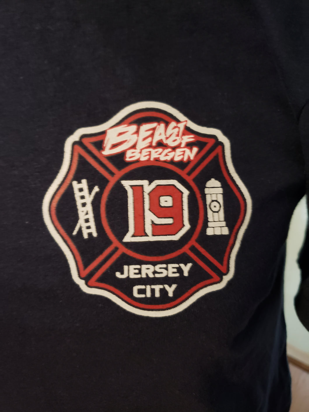 FDJC BRAVESTWEAR Fire Department ENGINE 19 Printed HOODED Sweatshirts (3 styles)